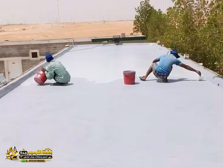 صورة المقال